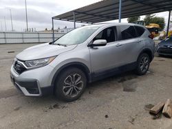 Salvage cars for sale at Sacramento, CA auction: 2022 Honda CR-V EX