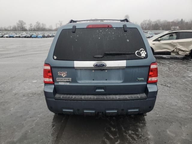 2011 Ford Escape Limited