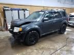 2009 Ford Escape Limited