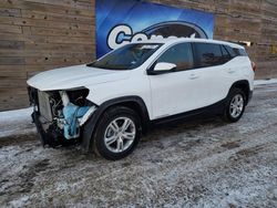 Salvage cars for sale at Blaine, MN auction: 2024 GMC Terrain SLE