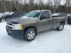 Chevrolet salvage cars for sale: 2012 Chevrolet Silverado C1500