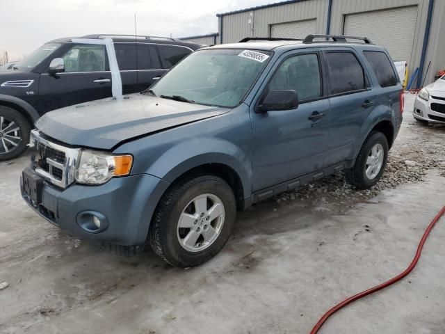 2012 Ford Escape XLT