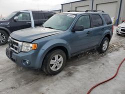 Salvage cars for sale at Wayland, MI auction: 2012 Ford Escape XLT