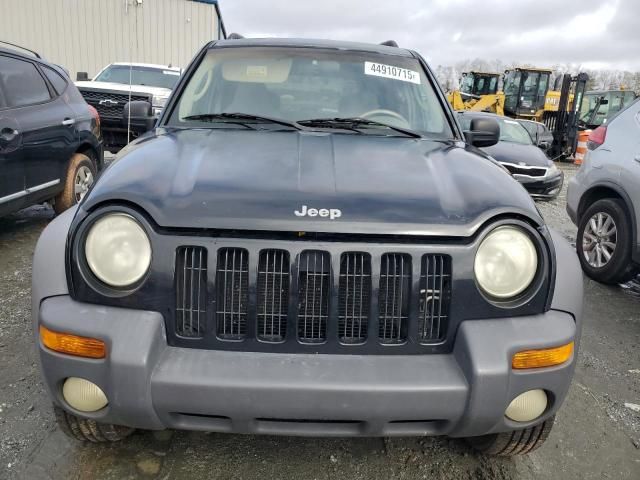 2002 Jeep Liberty Sport