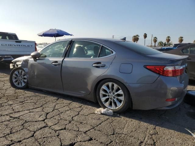 2013 Lexus ES 300H