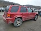 2005 Ford Escape Limited