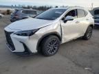 2024 Lexus NX 350H Base