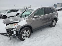 Vehiculos salvage en venta de Copart Airway Heights, WA: 2010 Honda CR-V EXL