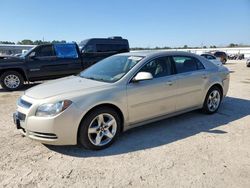 Chevrolet Vehiculos salvage en venta: 2009 Chevrolet Malibu 1LT