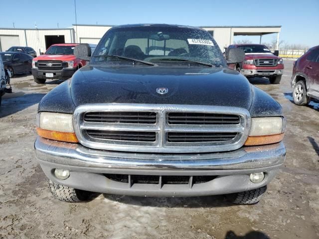 2000 Dodge Dakota Quattro