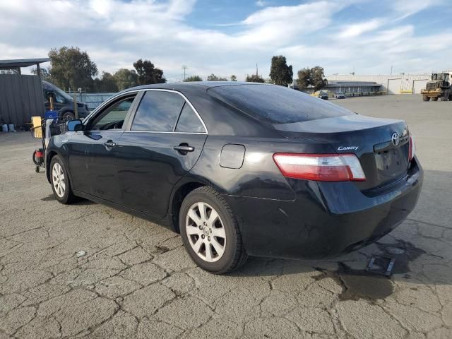 2008 Toyota Camry Hybrid