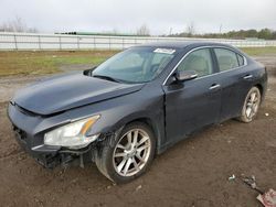 Nissan Maxima s Vehiculos salvage en venta: 2011 Nissan Maxima S