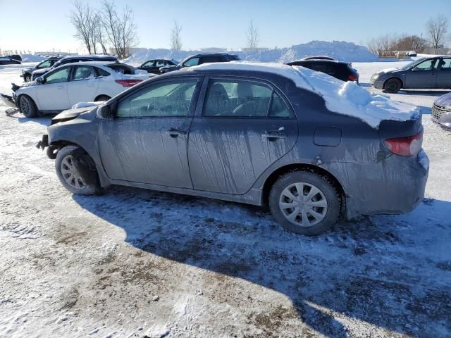 2011 Toyota Corolla Base