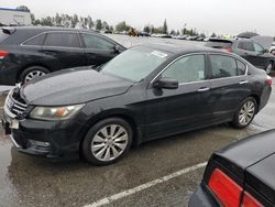 2013 Honda Accord EX en venta en Rancho Cucamonga, CA