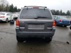 2002 Ford Escape XLT