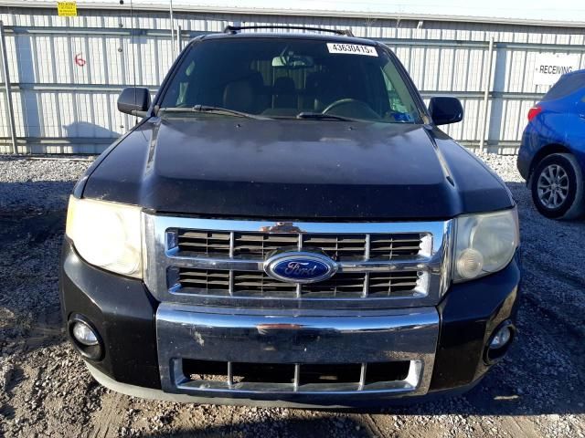 2011 Ford Escape Limited