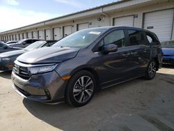 Salvage cars for sale at Louisville, KY auction: 2023 Honda Odyssey Touring