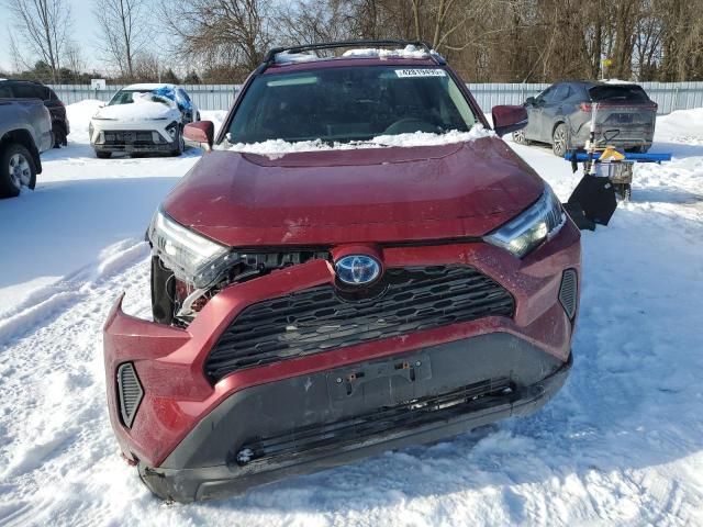 2023 Toyota Rav4 XLE