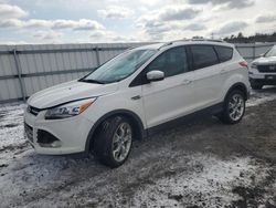 Salvage cars for sale from Copart Fredericksburg, VA: 2014 Ford Escape Titanium