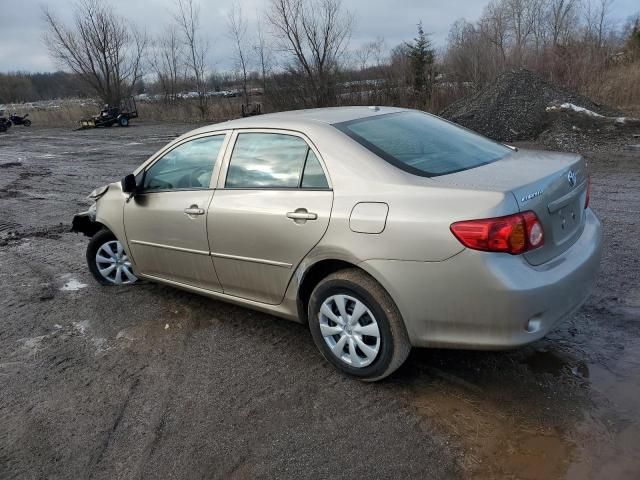 2010 Toyota Corolla Base