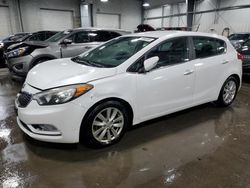 Salvage cars for sale at Ham Lake, MN auction: 2014 KIA Forte EX