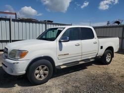 Toyota Tundra salvage cars for sale: 2005 Toyota Tundra Double Cab SR5