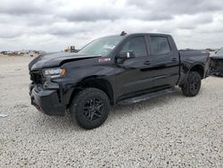 Salvage cars for sale at Taylor, TX auction: 2022 Chevrolet Silverado LTD K1500 LT Trail Boss