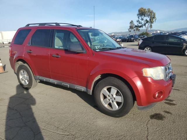 2010 Ford Escape XLT