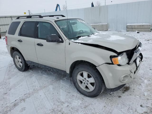 2009 Ford Escape XLT