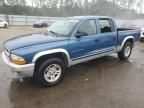 2002 Dodge Dakota Quad SLT