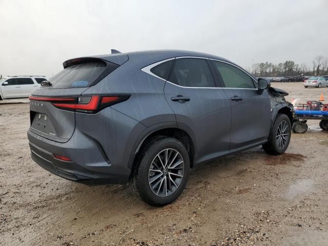 2024 Lexus NX 250 Base