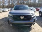 2024 Honda Pilot EXL