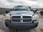 2005 Dodge Dakota Quad SLT