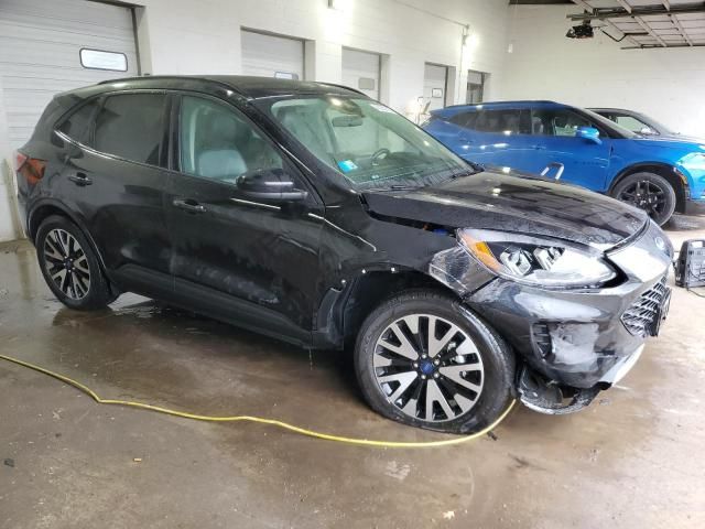 2020 Ford Escape SE Sport