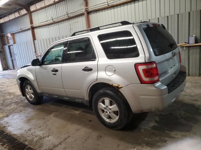 2010 Ford Escape XLT