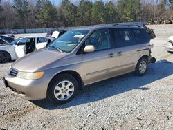 Salvage cars for sale at Gainesville, GA auction: 2003 Honda Odyssey EXL