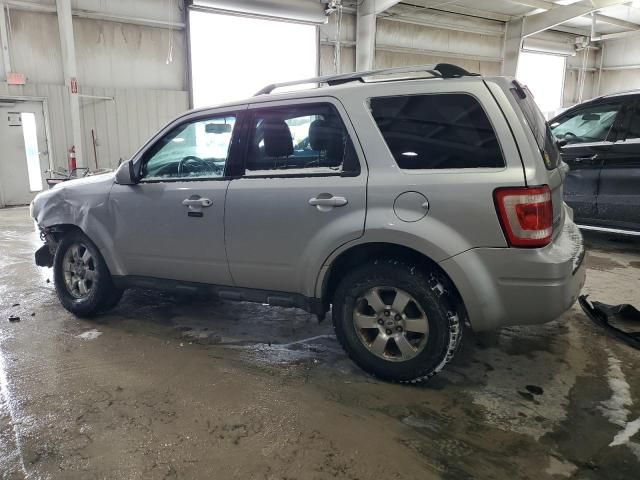 2010 Ford Escape Limited