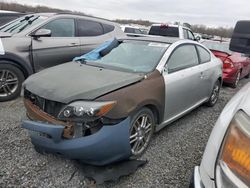 Scion tc Vehiculos salvage en venta: 2008 Scion 2008 Toyota Scion TC