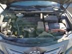 2007 Toyota Camry Hybrid