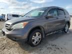 2011 Honda CR-V EXL