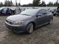 Salvage cars for sale at Graham, WA auction: 2008 Scion TC