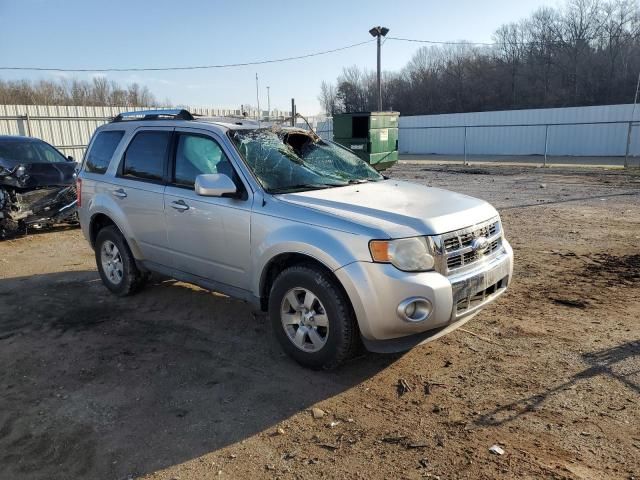 2011 Ford Escape Limited