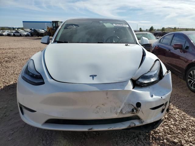 2020 Tesla Model Y