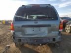 2007 Ford Escape XLT