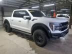 2024 Ford F150 Raptor