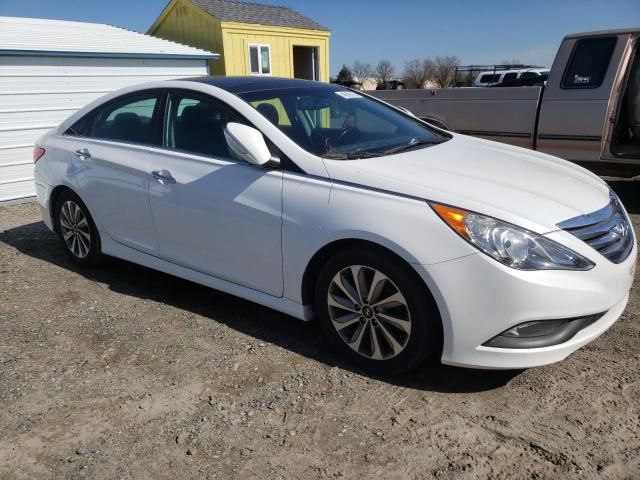 2014 Hyundai Sonata SE