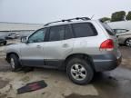 2006 Hyundai Santa FE GLS