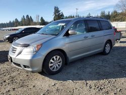 Salvage cars for sale at Graham, WA auction: 2008 Honda Odyssey EXL