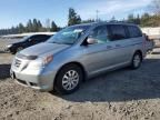 2008 Honda Odyssey EXL