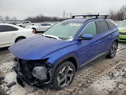 Salvage cars for sale at Hillsborough, NJ auction: 2023 Hyundai Tucson SEL